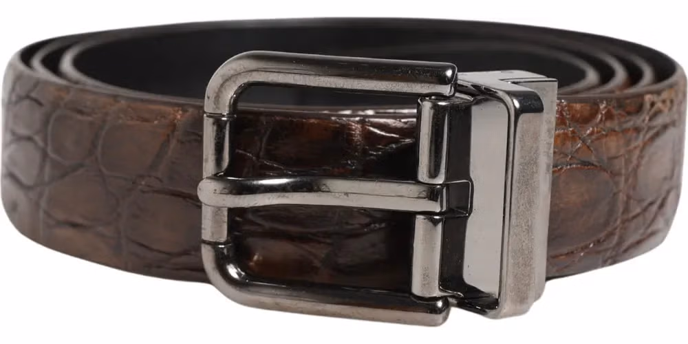 Dolce & Gabbana Brown Leather Silver Tone Metal Buckle Belt