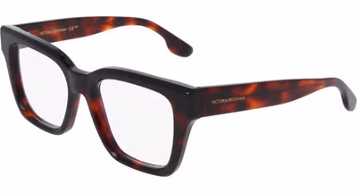Brown Plastic Glasses (Frames)
