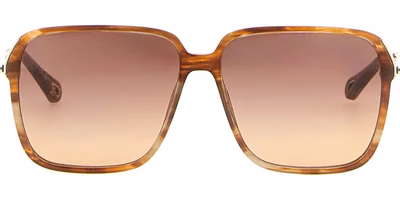 Brown Acetate Sunglasses
